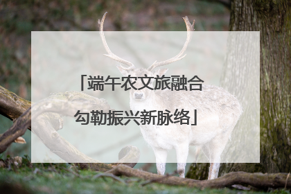 端午农文旅融合 勾勒振兴新脉络